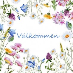 Matservett Välkommen